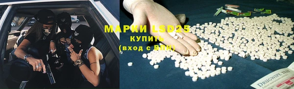 прущие грибы Арсеньев