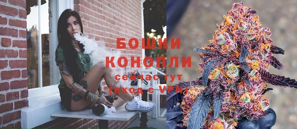 прущие грибы Арсеньев