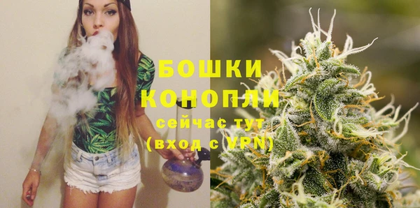 прущие грибы Арсеньев