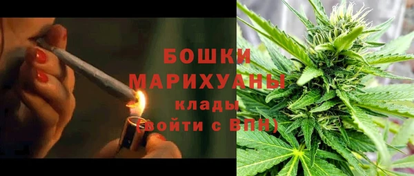 прущие грибы Арсеньев