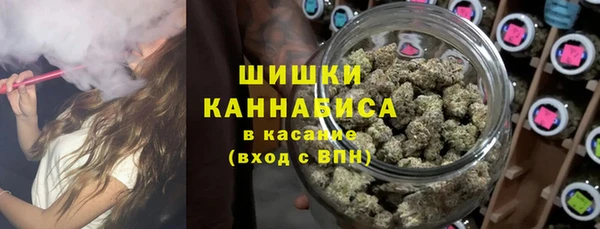 прущие грибы Арсеньев