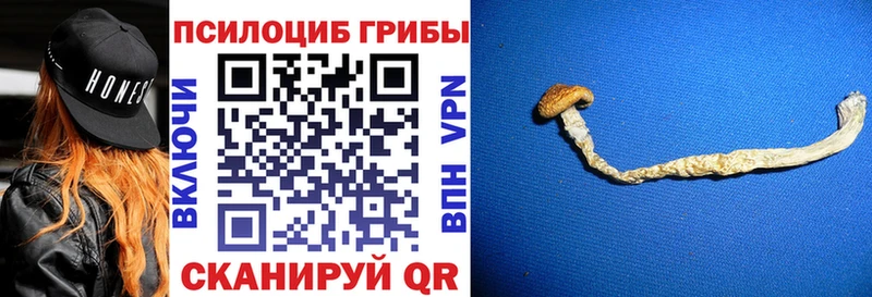 Псилоцибиновые грибы Cubensis  Купить  Кунгур 